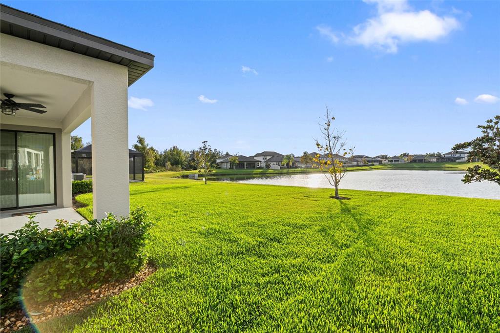 31046 Parrot Reef Court Wesley Chapel, FL 33545 - Photo 52 of 99