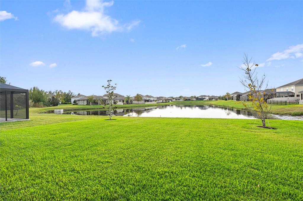 31046 Parrot Reef Court Wesley Chapel, FL 33545 - Photo 53 of 99 a view of outdoor space and yard