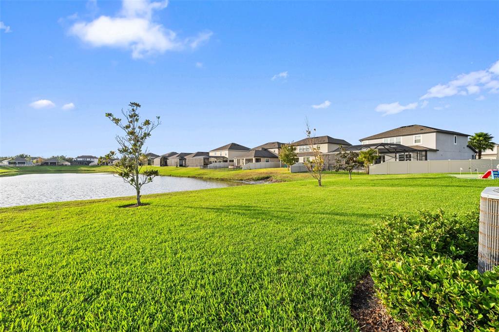 31046 Parrot Reef Court Wesley Chapel, FL 33545 - Photo 54 of 99 a view of a golf course with a swimming pool