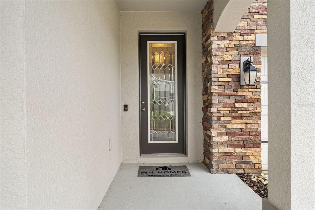 31046 Parrot Reef Court Wesley Chapel, FL 33545 - Photo 7 of 99