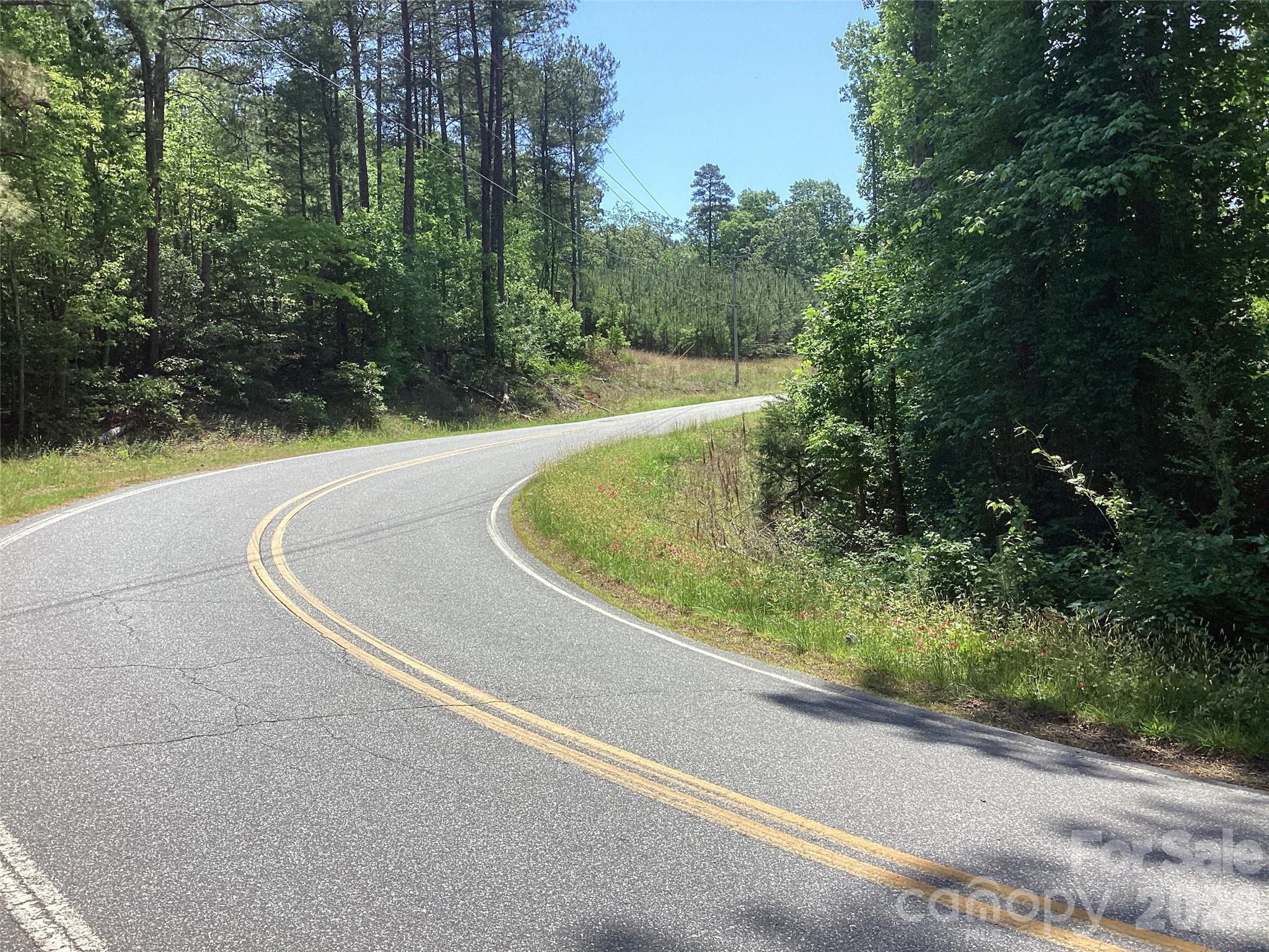 0 Powell Road Mill Spring, NC 28756 - Photo 9 of 22