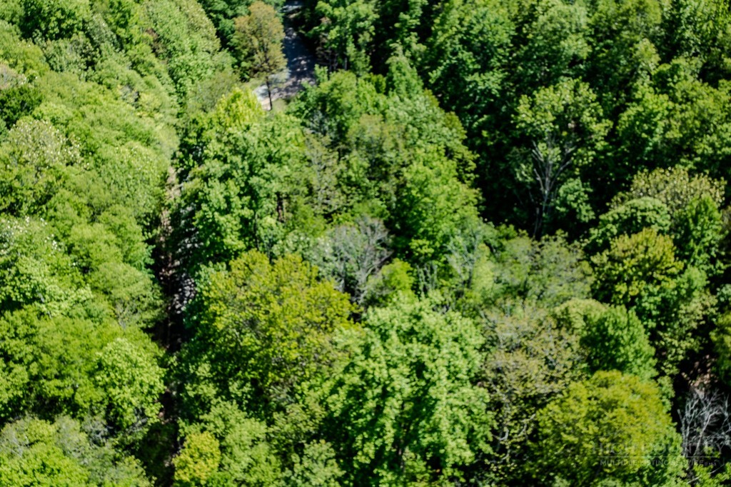 Buckeye Ridge Road Beech Mountain, NC 28604 - Photo 12 of 14