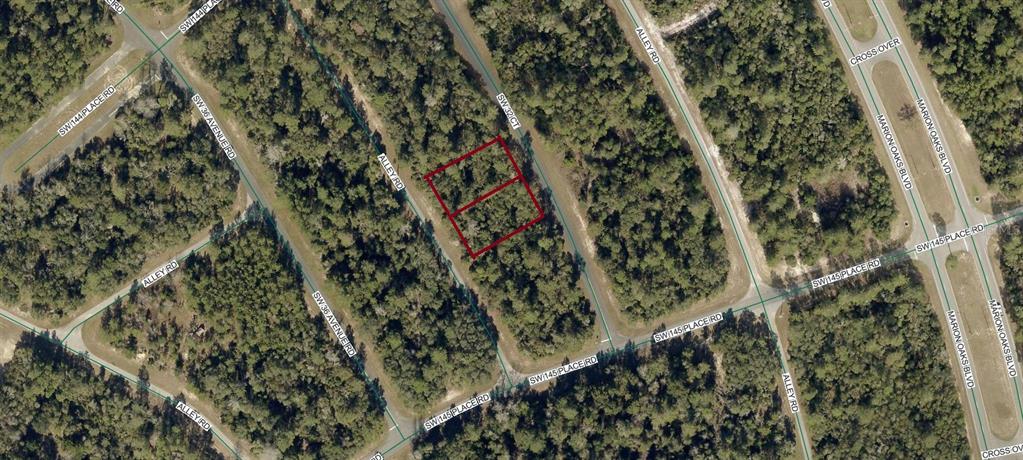 8002 Alley Road Ocala, FL 34473 - Photo 2 of 2
