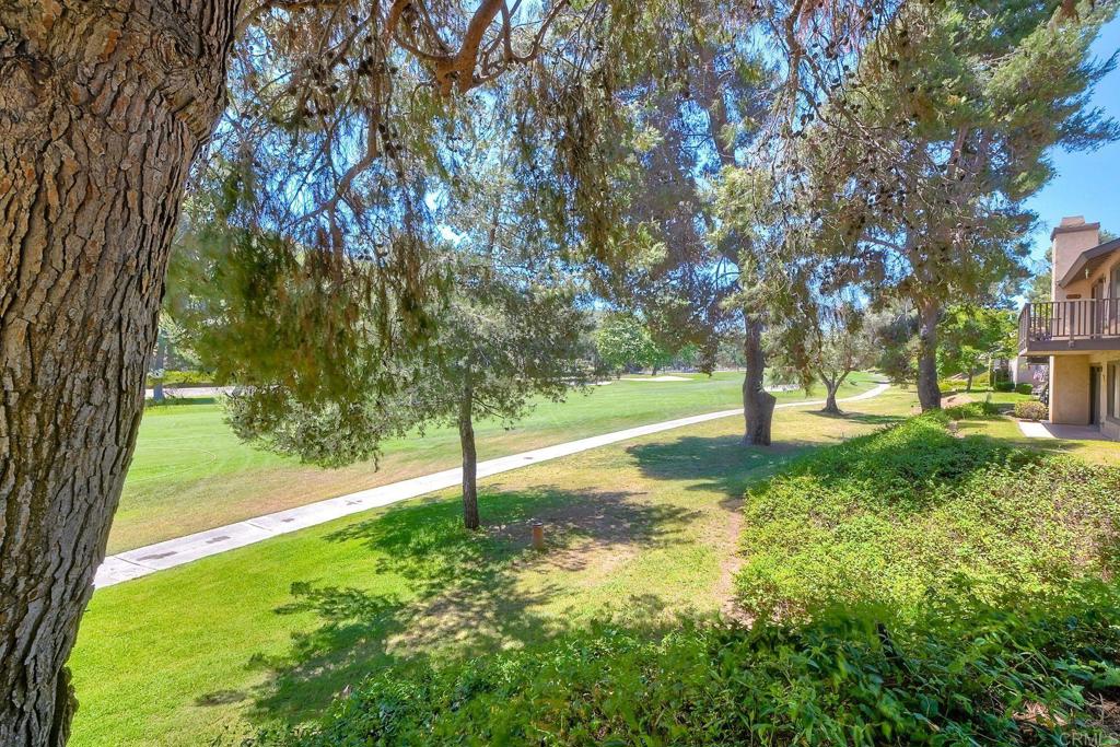 4135 Pinehurst Court Fallbrook, CA 92028 - Photo 18 of 25 a view of a yard with plants and trees