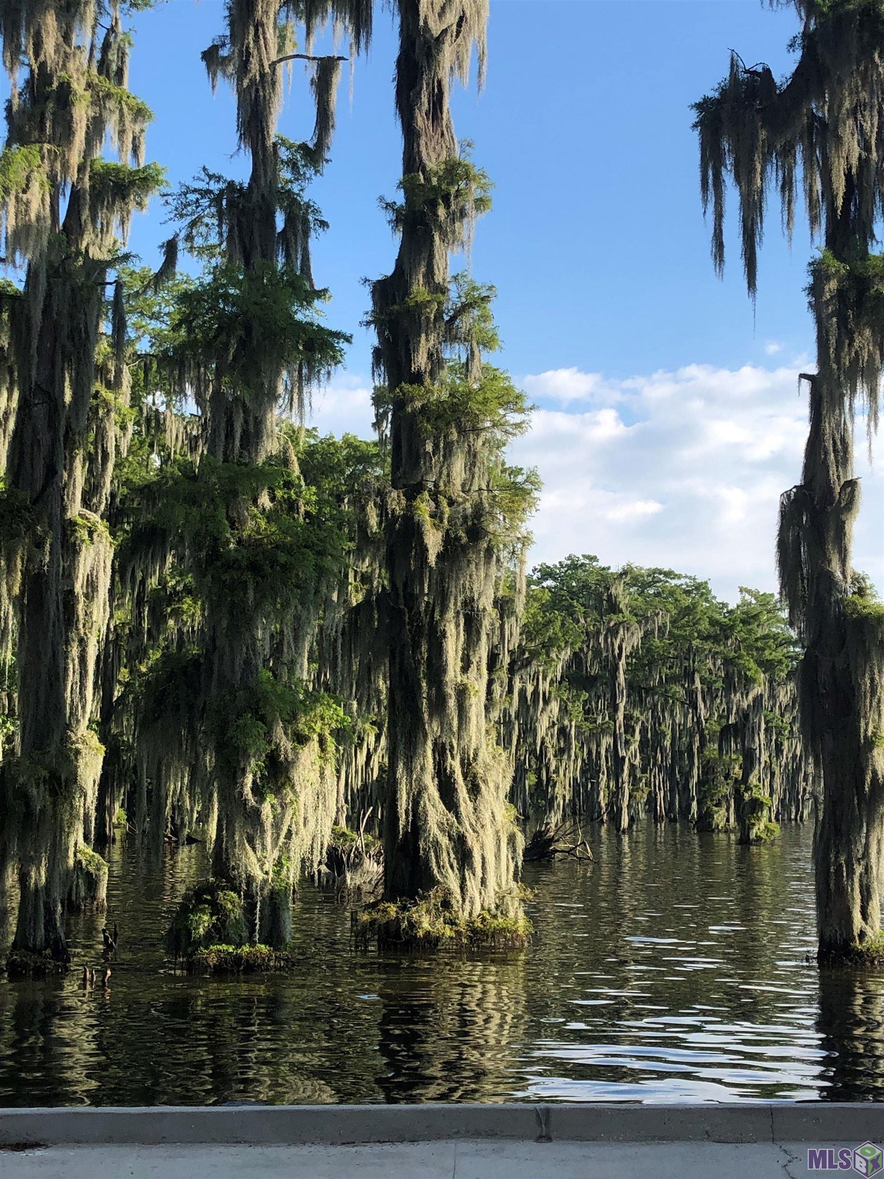 290 Bayou Tranquille Road Pierre Part, LA 70339 - Photo 24 of 29