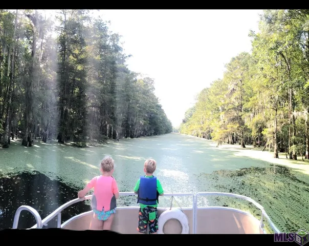 $425,000 | 290 Bayou Tranquille Road, Pierre Part, LA 70339