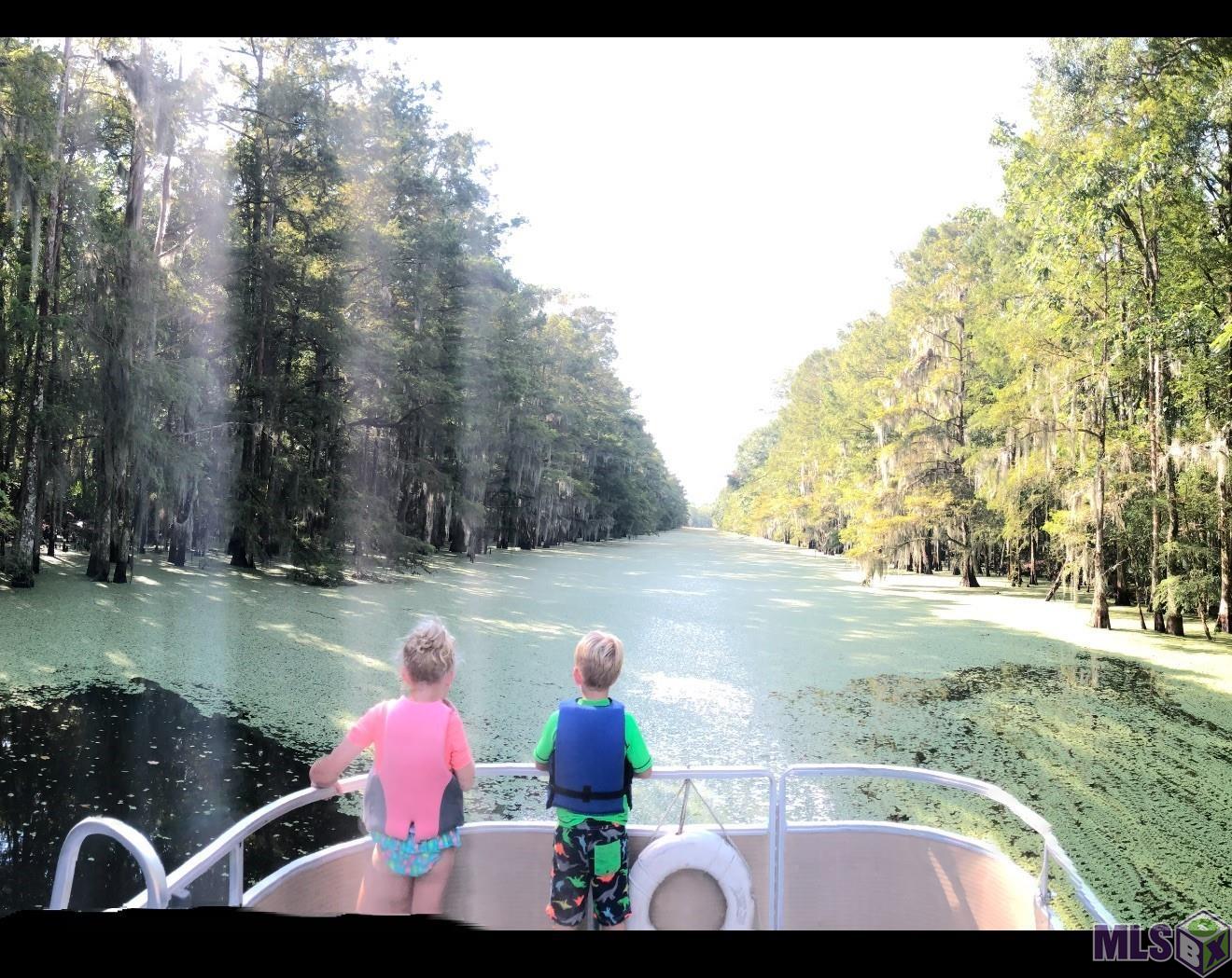 290 Bayou Tranquille Road Pierre Part, LA 70339 - Photo 25 of 29