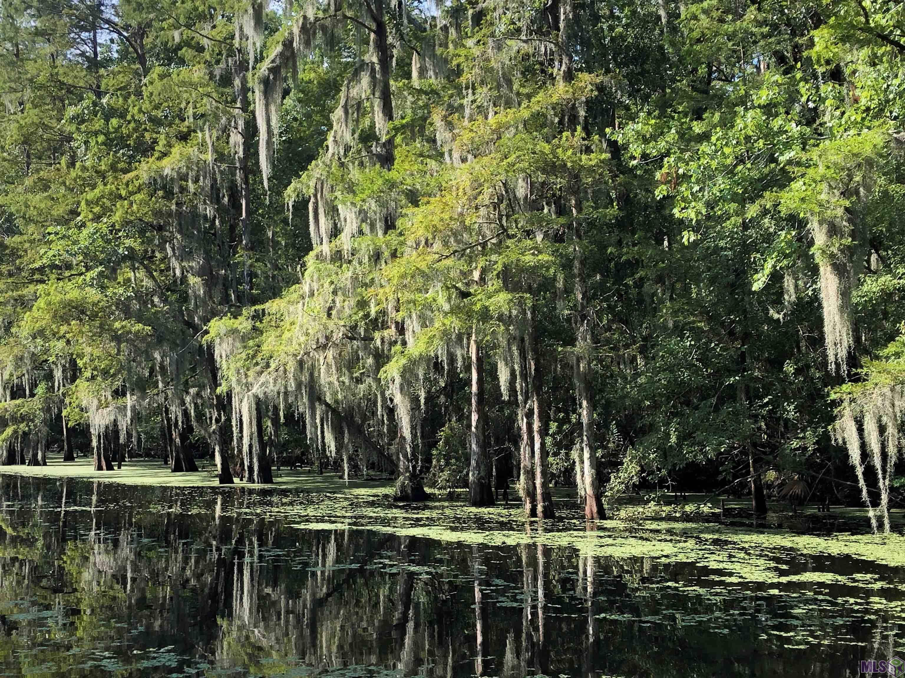 290 Bayou Tranquille Road Pierre Part, LA 70339 - Photo 27 of 29