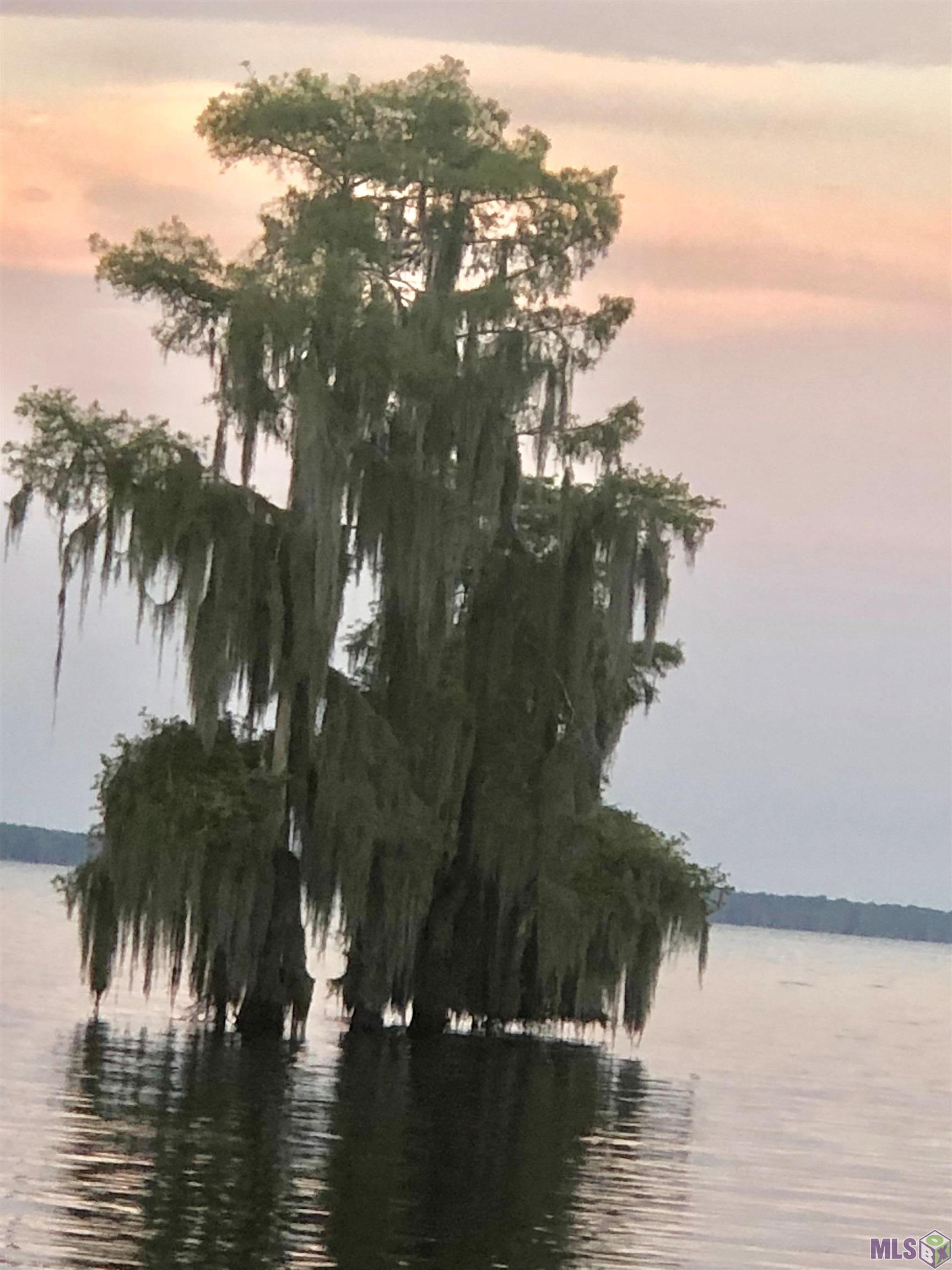 290 Bayou Tranquille Road Pierre Part, LA 70339 - Photo 28 of 29