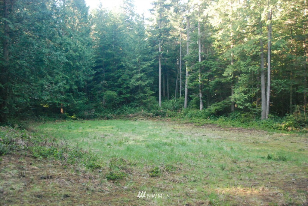 4095 Lone Lake Road Langley, WA 98260 - Photo 3 of 3 Gallery Image 3