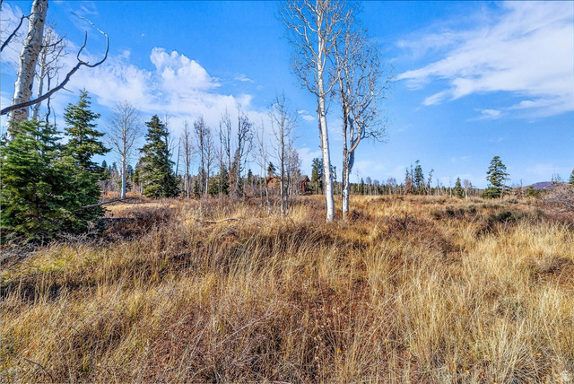 367 Spring Drive, Unit 67 Springdale, UT 84767 - Photo 12 of 13 View of undeveloped land