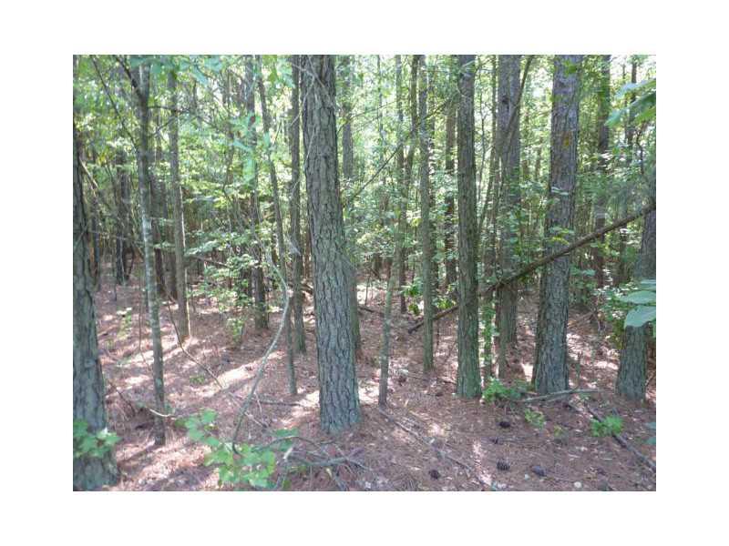 2 Harmon Road Temple, GA 30179 - Photo 1 of 1 Exterior Front. wooded lot