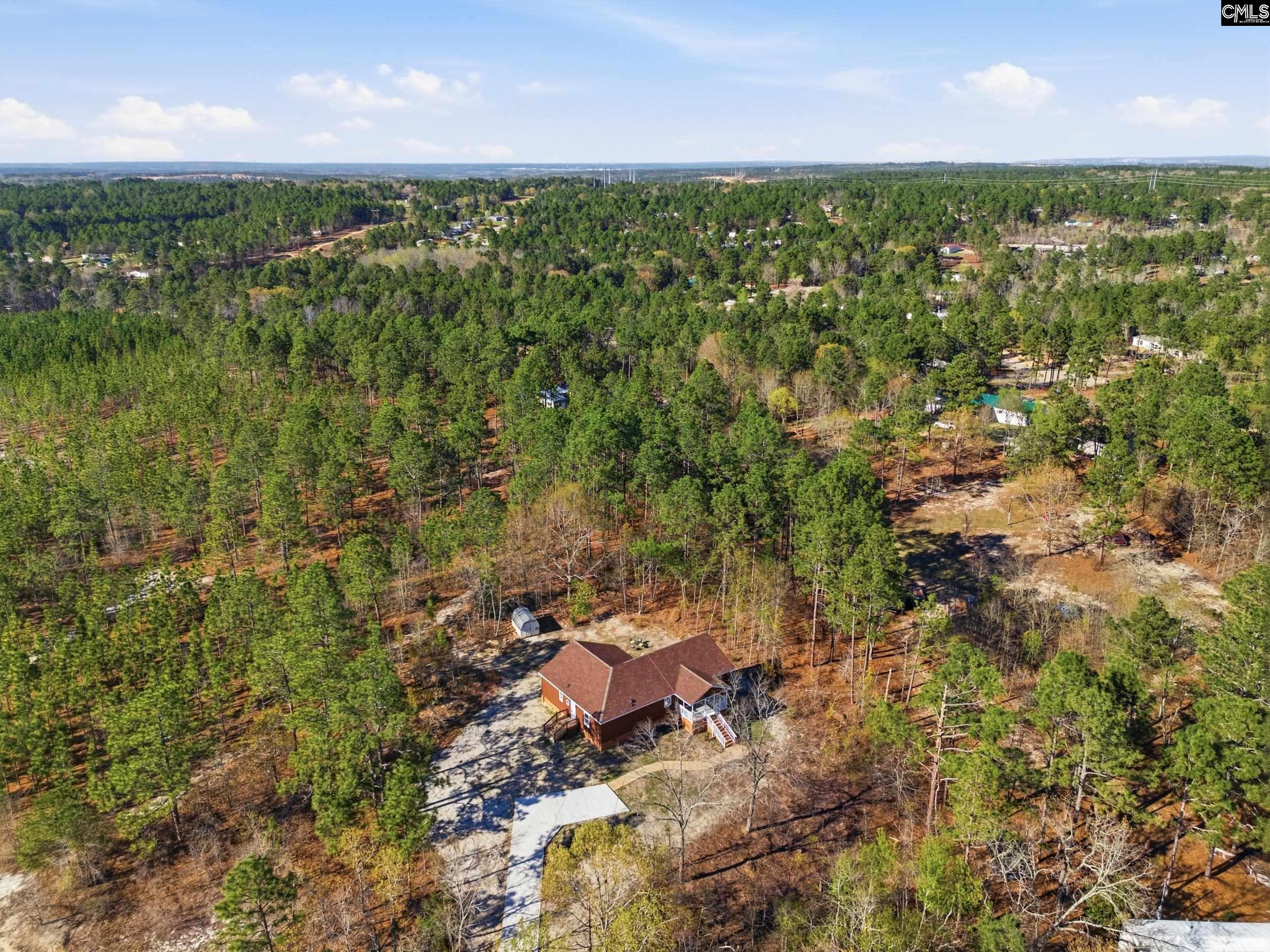 263 Sugar Loaf Road Gaston, SC 29053 - Photo 29 of 35