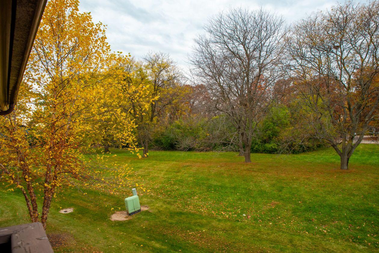 3965 South 84th Street, Unit 5 Greenfield, WI 53228 - Photo 22 of 29 Green space