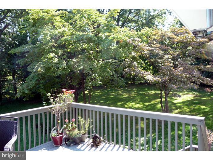 439 Conshohocken State Road Bala Cynwyd, PA 19004 - Photo 18 of 23 View in Back