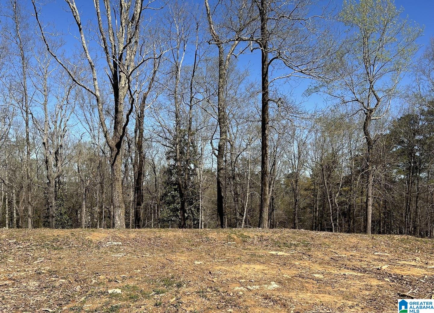 3300 Sherwood Road Birmingham, AL 35223 - Photo 7 of 16