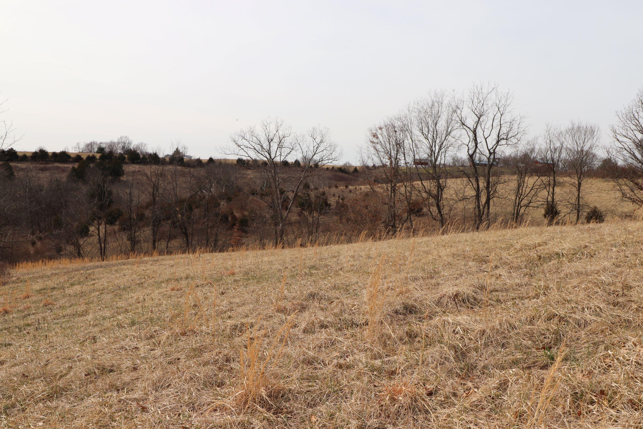 378 Norris Road Butler, KY 41006 - Photo 49 of 50 Gallery Image 49