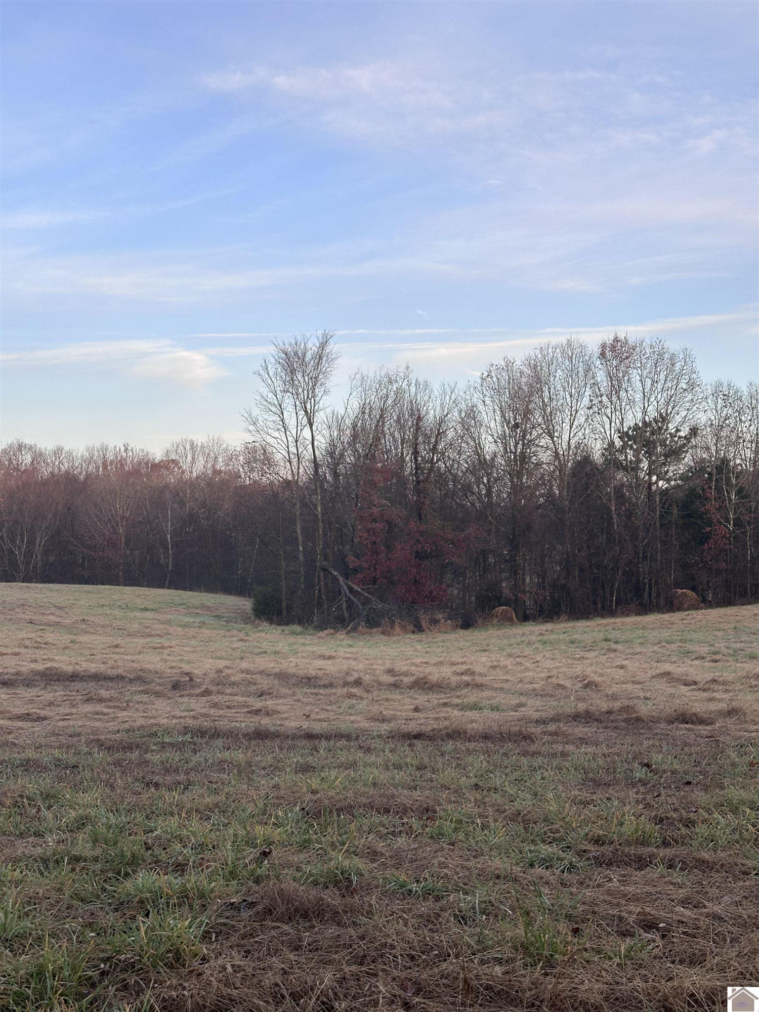 0 Elm Grove Road Almo, KY 42020 - Photo 27 of 35 Photo 27