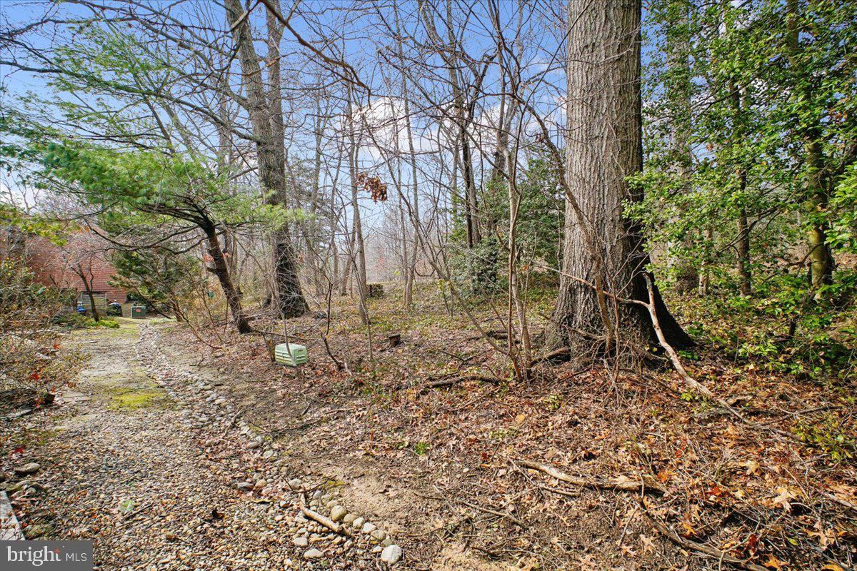 11514 Sunder Court Reston, VA 20190 - Photo 53 of 81 a backyard of a house with lots of green space