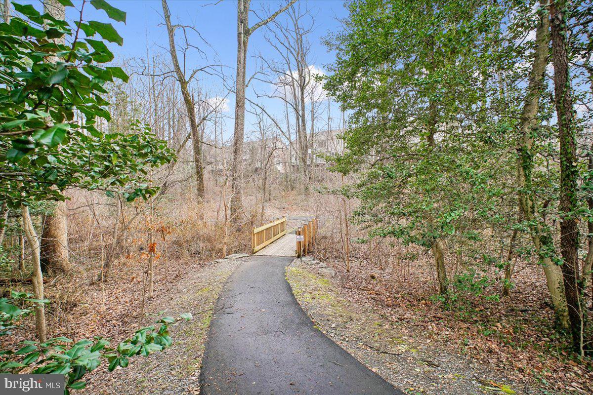 11514 Sunder Court Reston, VA 20190 - Photo 55 of 81 a view of a pathway with a yard
