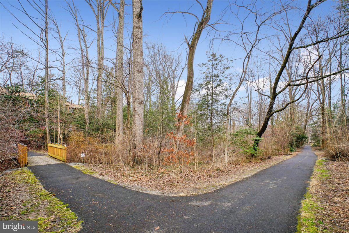 11514 Sunder Court Reston, VA 20190 - Photo 56 of 81 a view of a yard with large trees