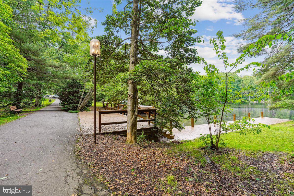 11514 Sunder Court Reston, VA 20190 - Photo 62 of 81 a view of a park with large trees