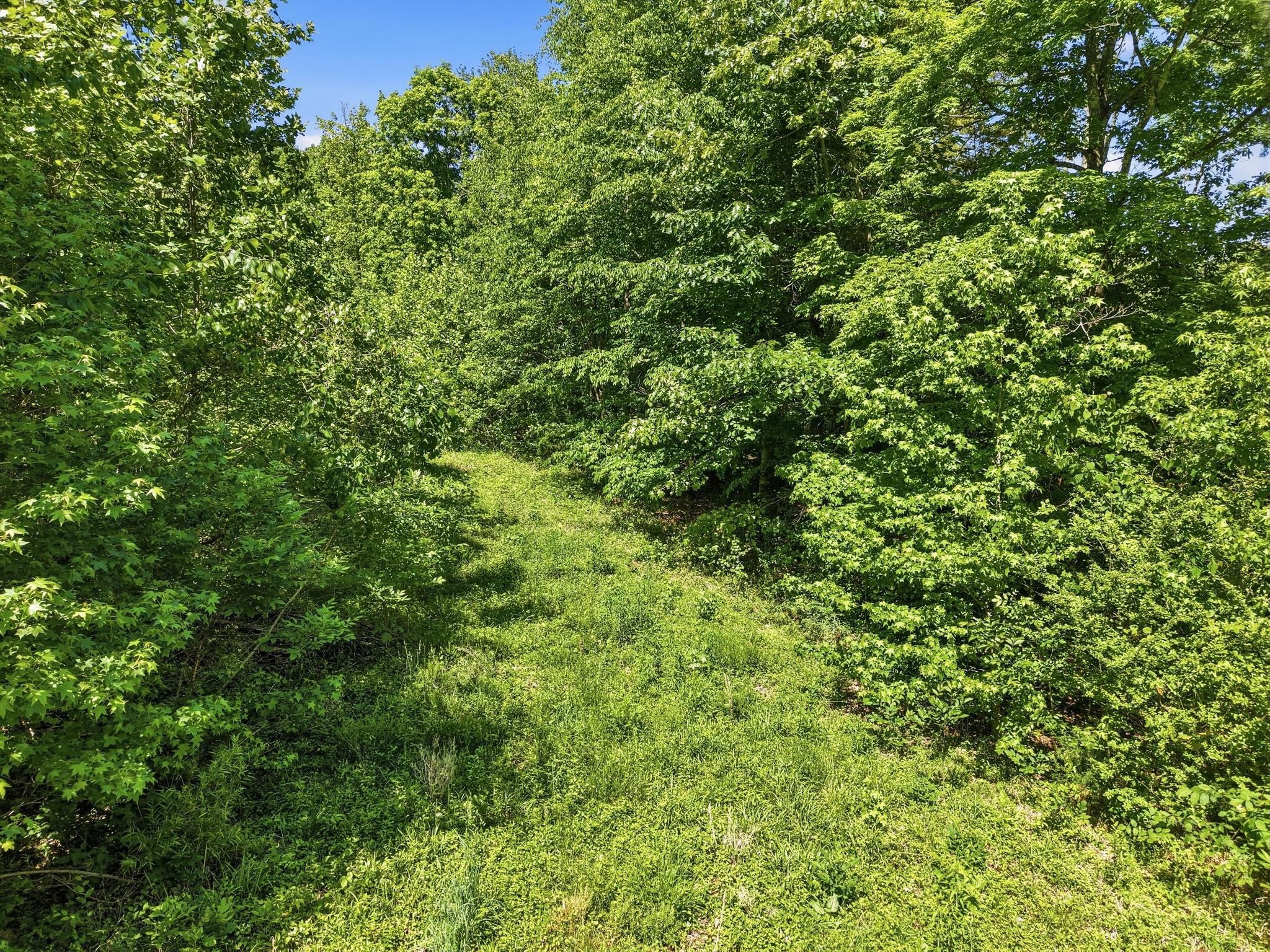 6 Falling Water Road Cookeville, TN 38506 - Photo 5 of 10