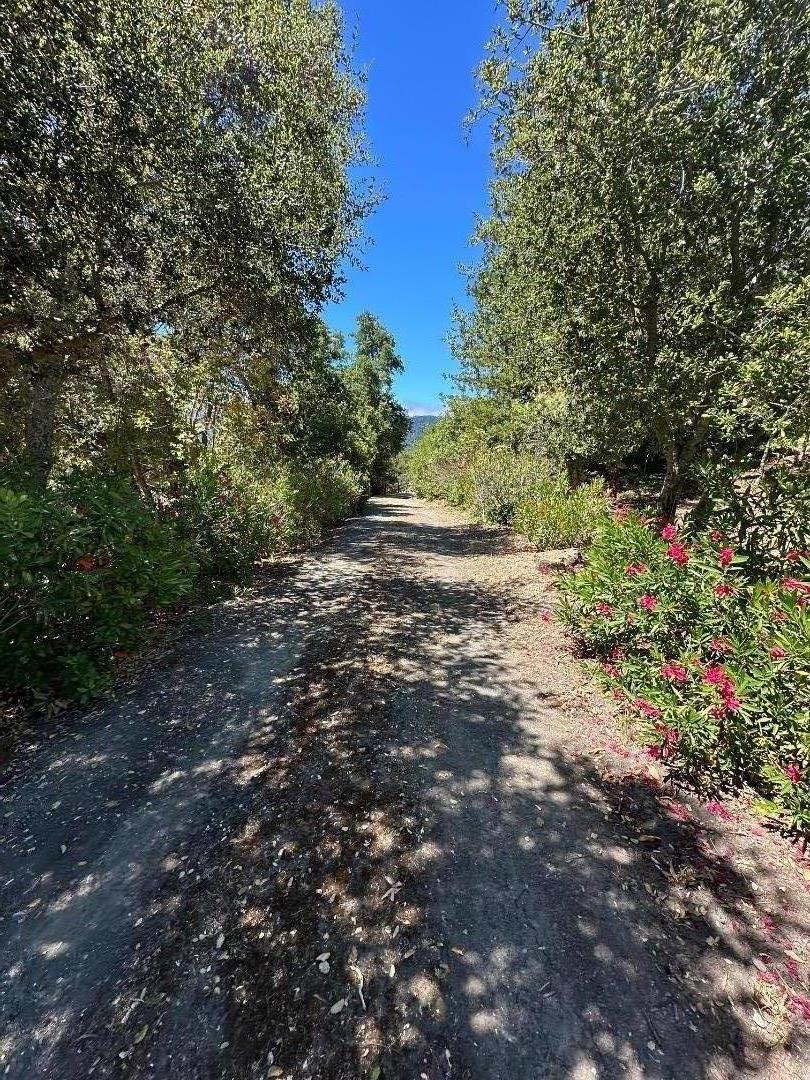 389 Moore Road Woodside, CA 94062 - Photo 22 of 31 Gallery Image 22