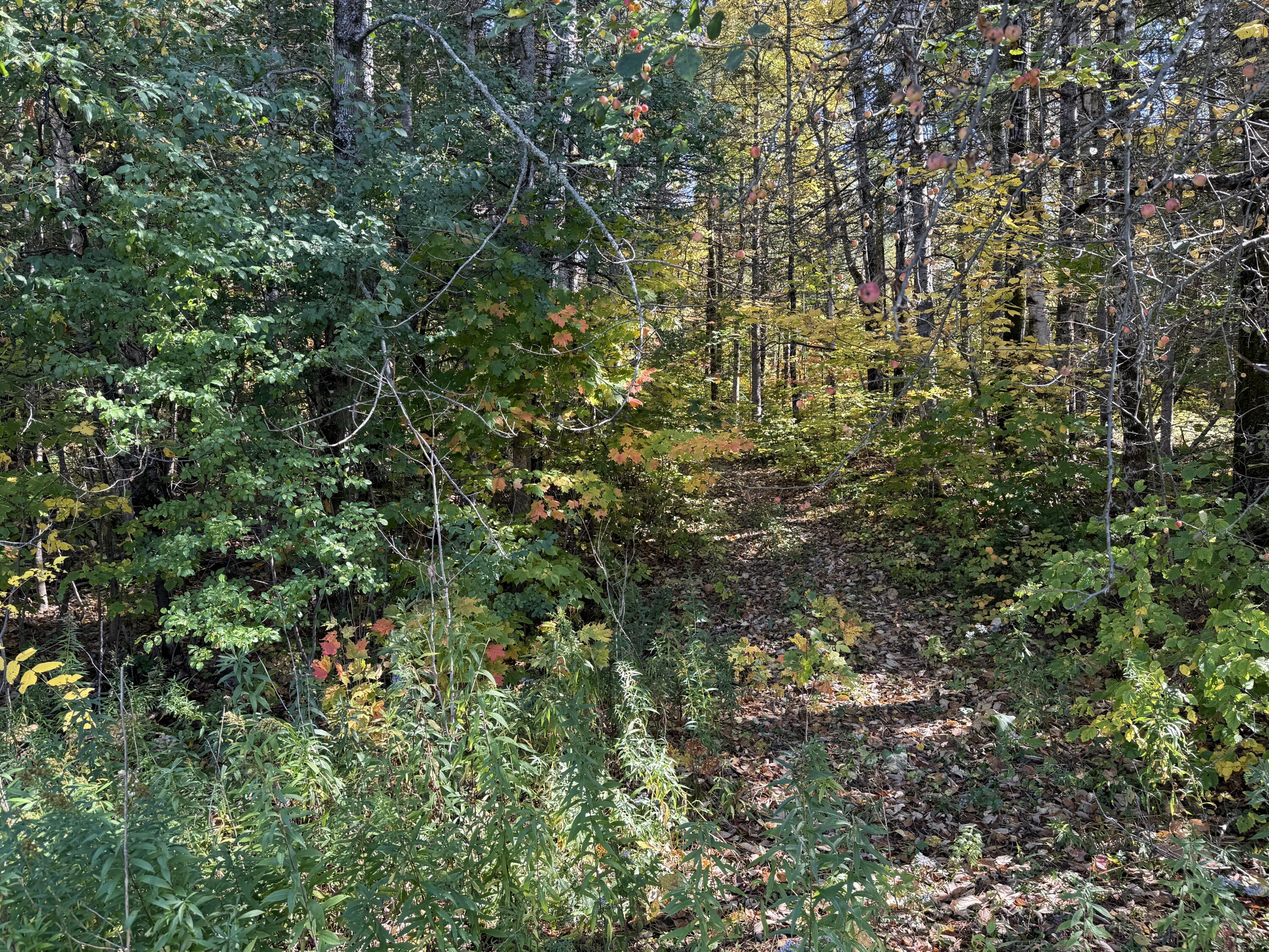 121 Foxcroft Road Houlton, ME 04730 - Photo 22 of 24 IMG_2380