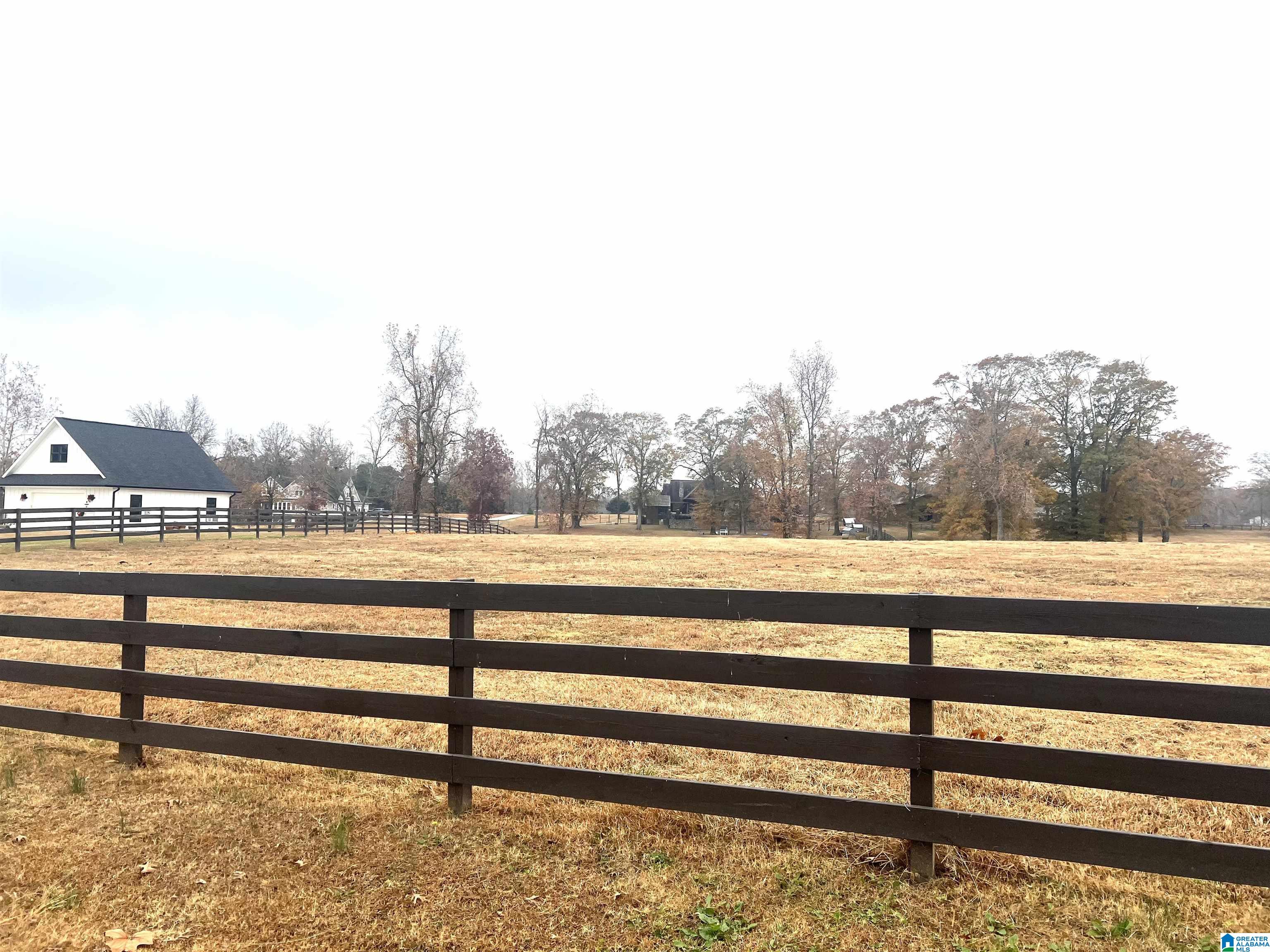Lot 2 County Road 706, Unit 2 Cullman, AL 35055 - Photo 18 of 30