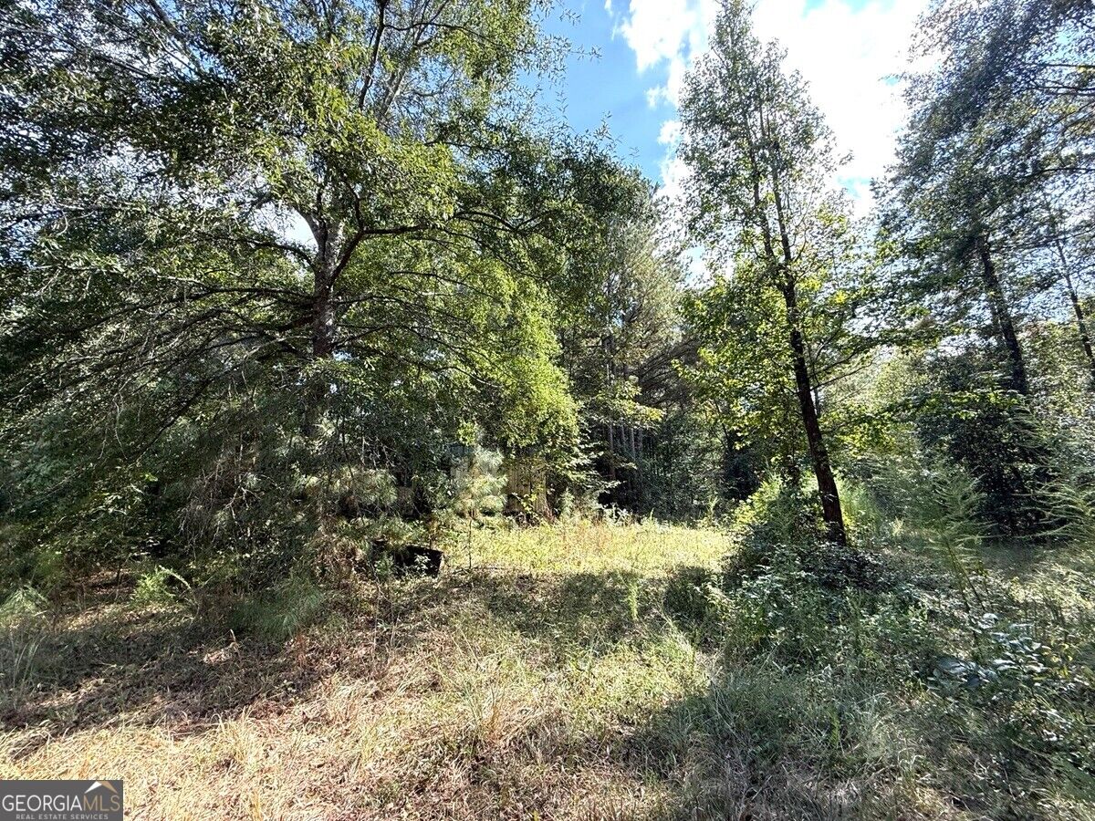 2594 Hughes Road Bowman, GA 30624 - Photo 24 of 26 Gallery Image 24