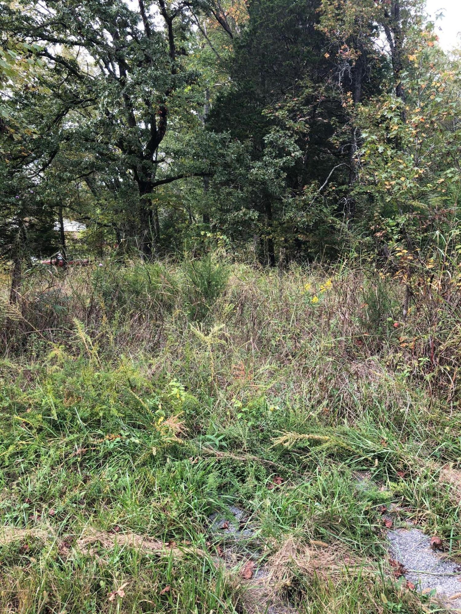 0 Sam Davis Road Decatur, TN 37322 - Photo 3 of 8 image1