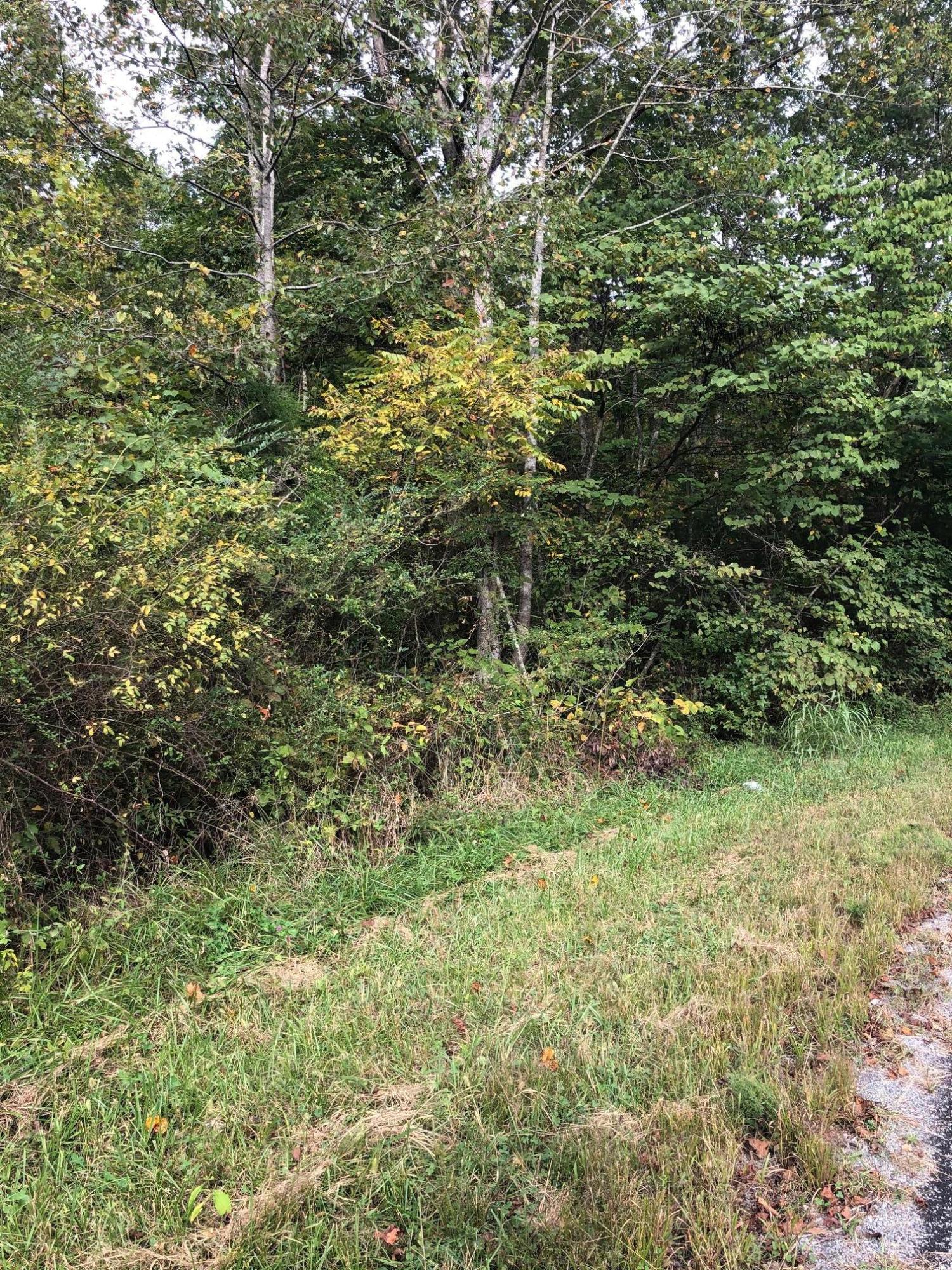 0 Sam Davis Road Decatur, TN 37322 - Photo 4 of 8 image2
