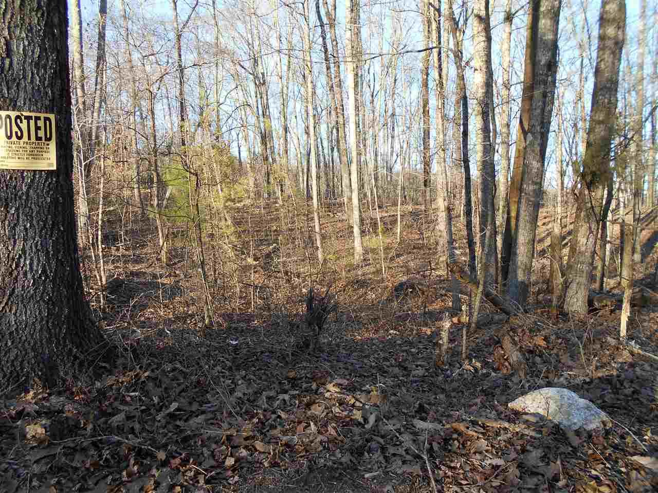 0 Sam Davis Road Decatur, TN 37322 - Photo 8 of 8 2