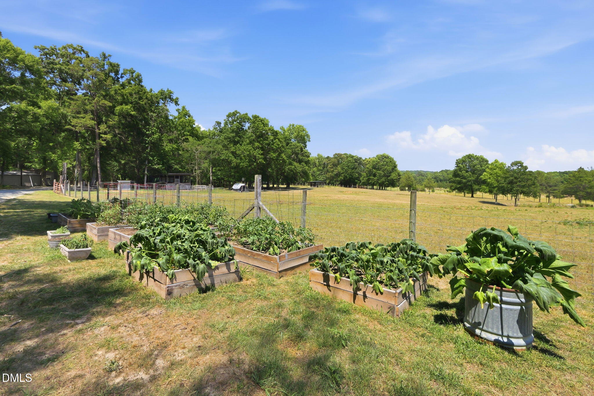 908 Chambers Road Rougemont, NC 27572 - Photo 39 of 50