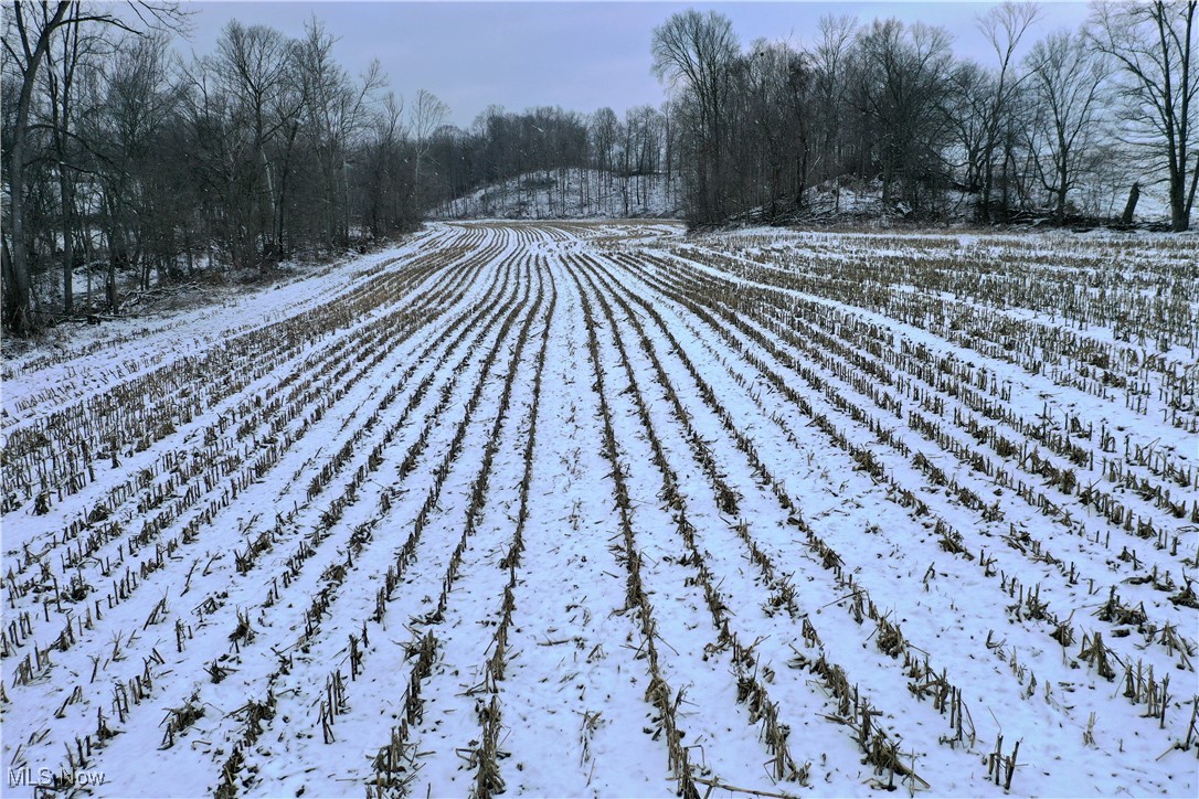 9602 Munson Road Wooster, OH 44691 - Photo 39 of 45 View of snowy yard