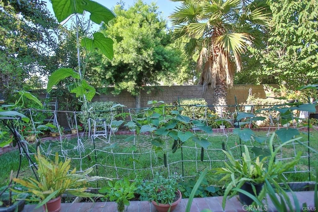 6302 Lavender Way Westminster, CA 92683 - Photo 36 of 38 a backyard of a house with lots of green space and trees all around