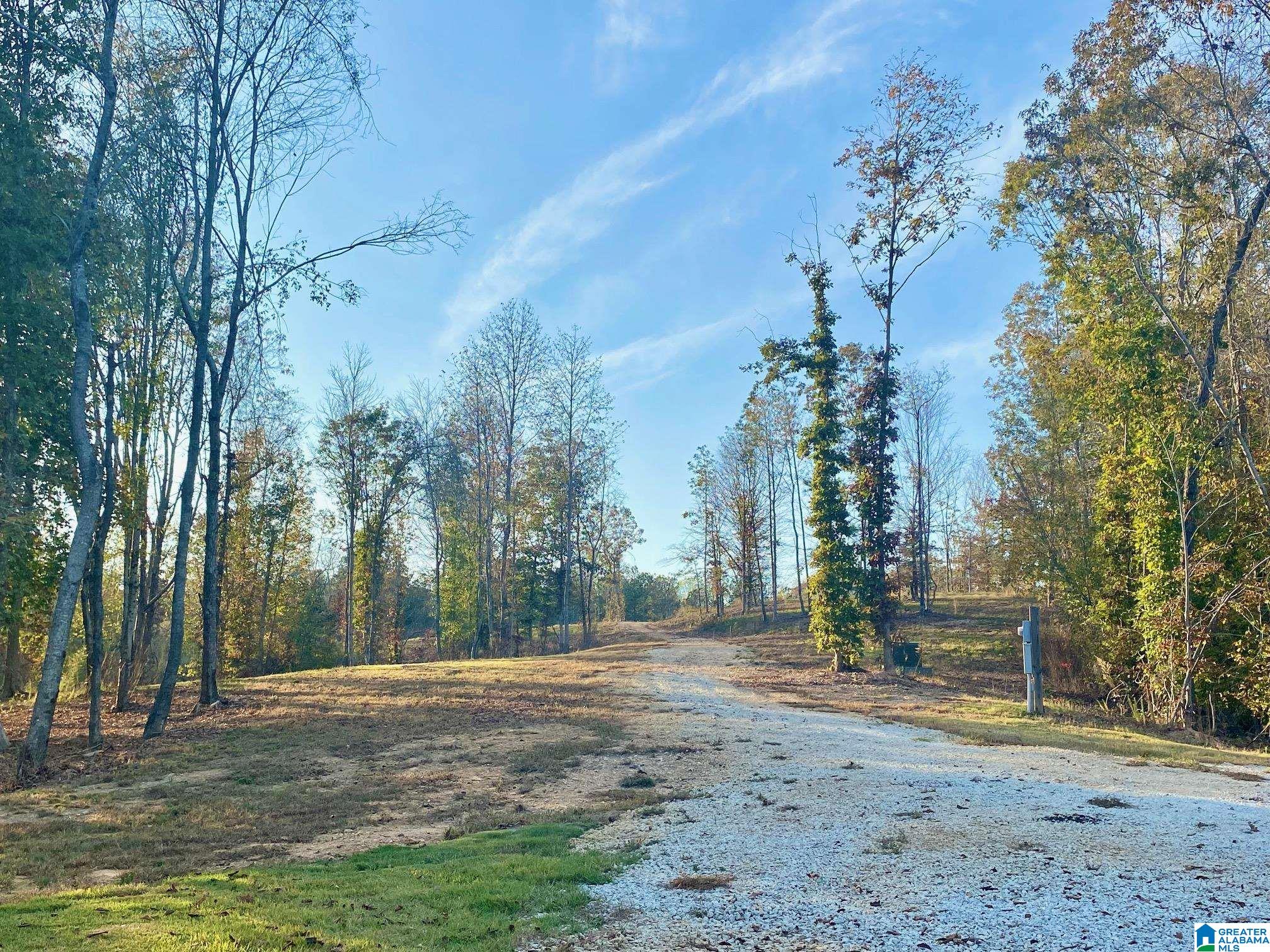 325 County Road 13 Heflin, AL 36264 - Photo 24 of 56