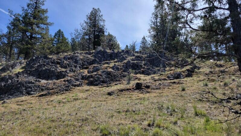 1315 Lofton Creek Road Prineville, OR 97754 - Photo 30 of 61 image000005 (1)
