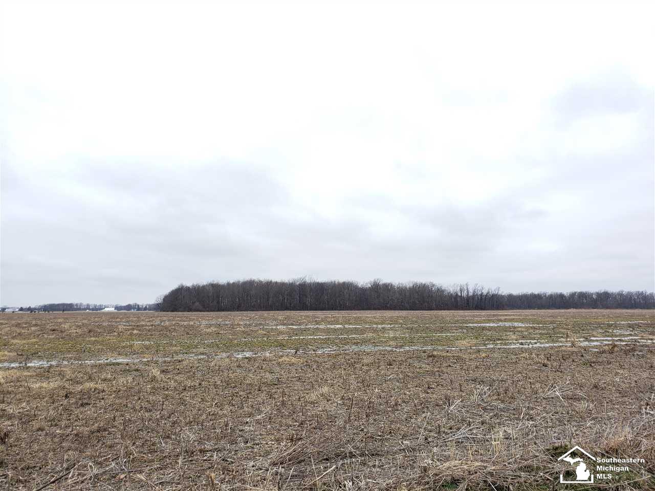 138 Rauch Road Temperance, MI 48182 - Photo 22 of 31