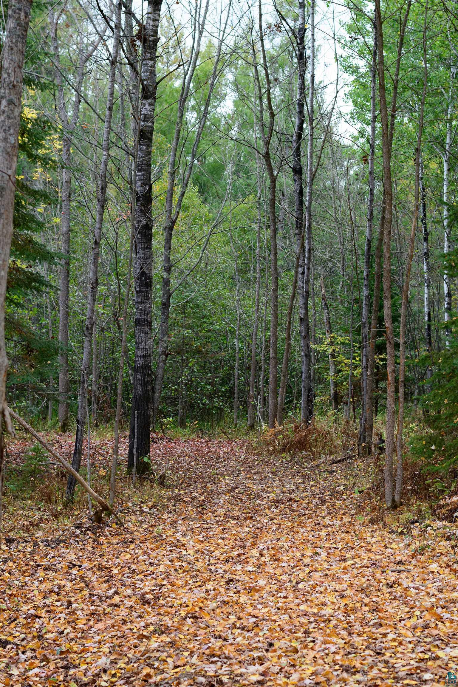 35290 Red Pine Road Deer River, MN 56636 - Photo 20 of 31 Gallery Image 20