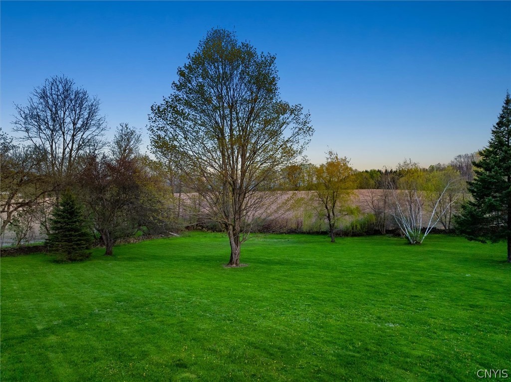 1322 Albany Road Litchfield, NY 13322 - Photo 39 of 49