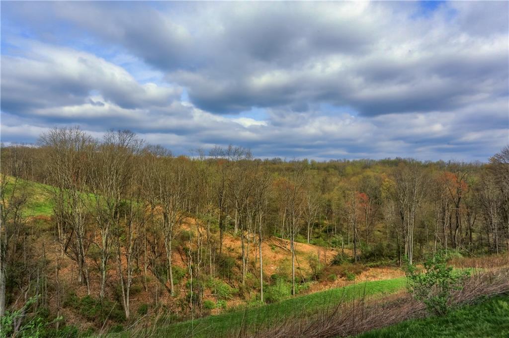 905 Spring Valley Drive Zelienople, PA 16063 - Photo 45 of 45 Aerial
