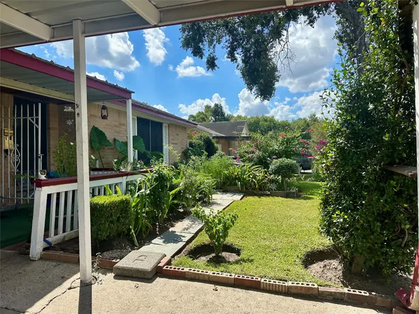 a view of a small garden from a window
