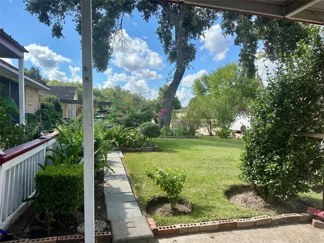 a view of a yard with plants