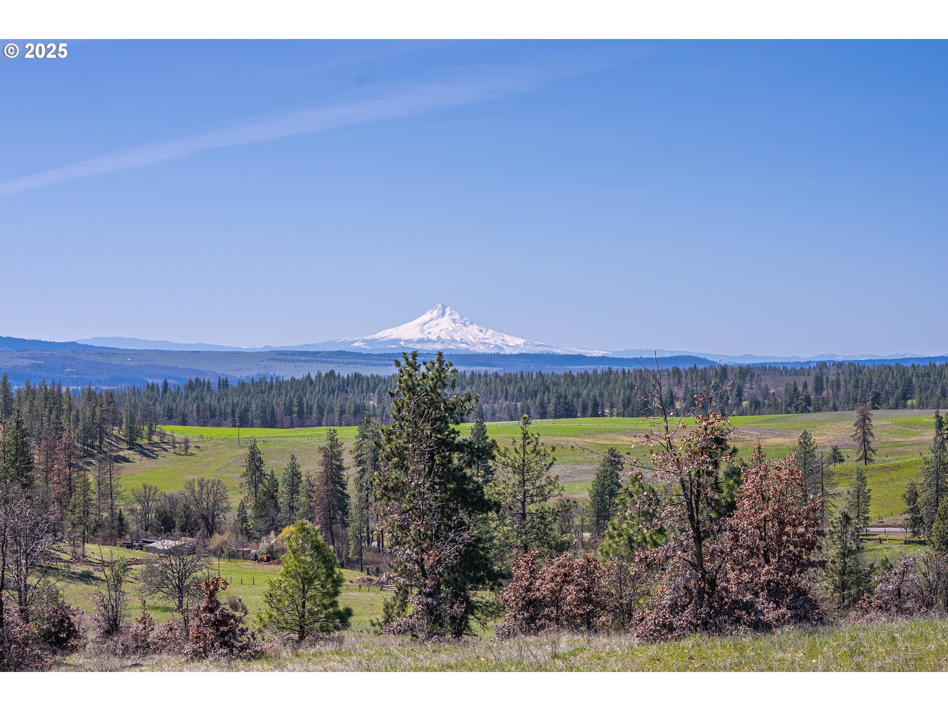 40 Mountainscape Circle Goldendale, WA 98620 - Photo 3 of 8