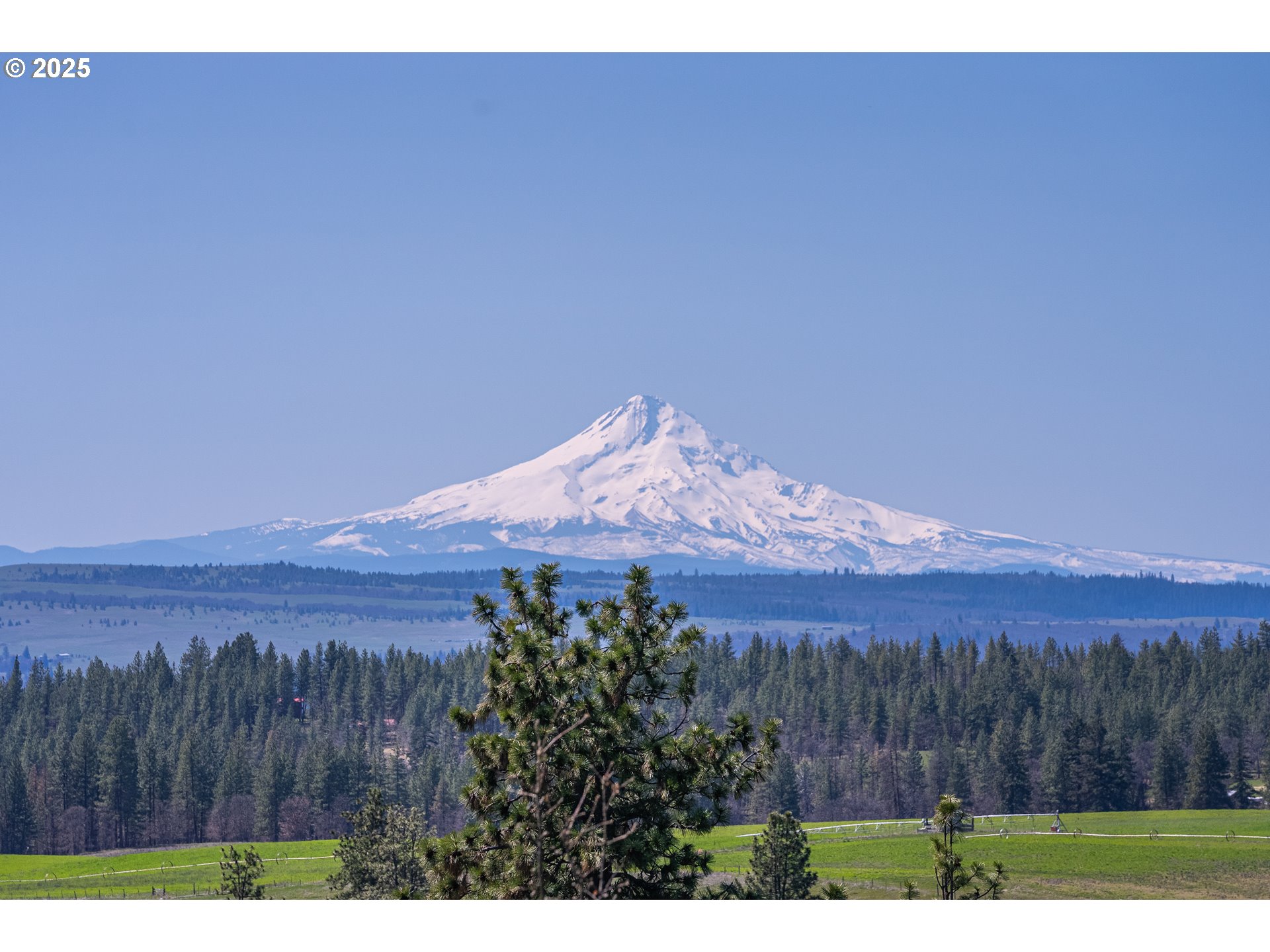 40 Mountainscape Circle Goldendale, WA 98620 - Photo 4 of 8