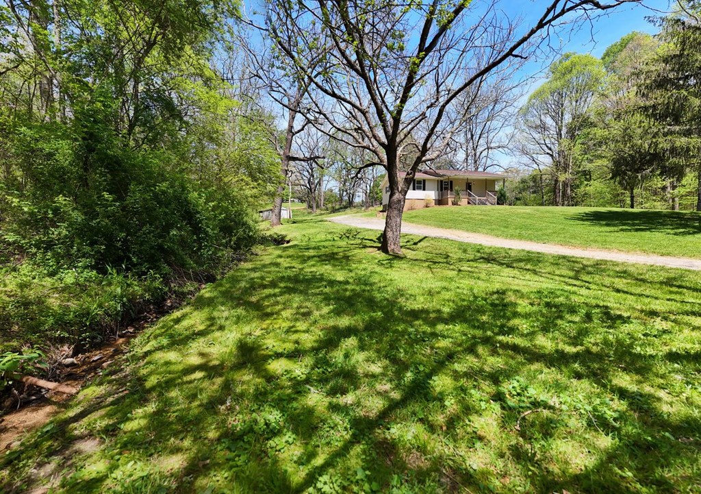 531 Old Smokey Road Blairsville, GA 30512 - Photo 46 of 51 Gallery Image 46