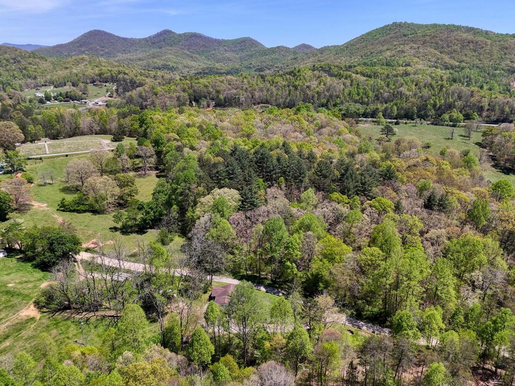 531 Old Smokey Road Blairsville, GA 30512 - Photo 47 of 51 Gallery Image 47