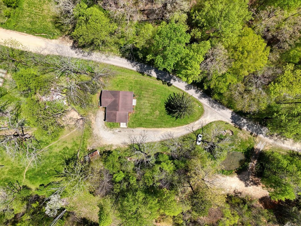 531 Old Smokey Road Blairsville, GA 30512 - Photo 6 of 51 Gallery Image 6